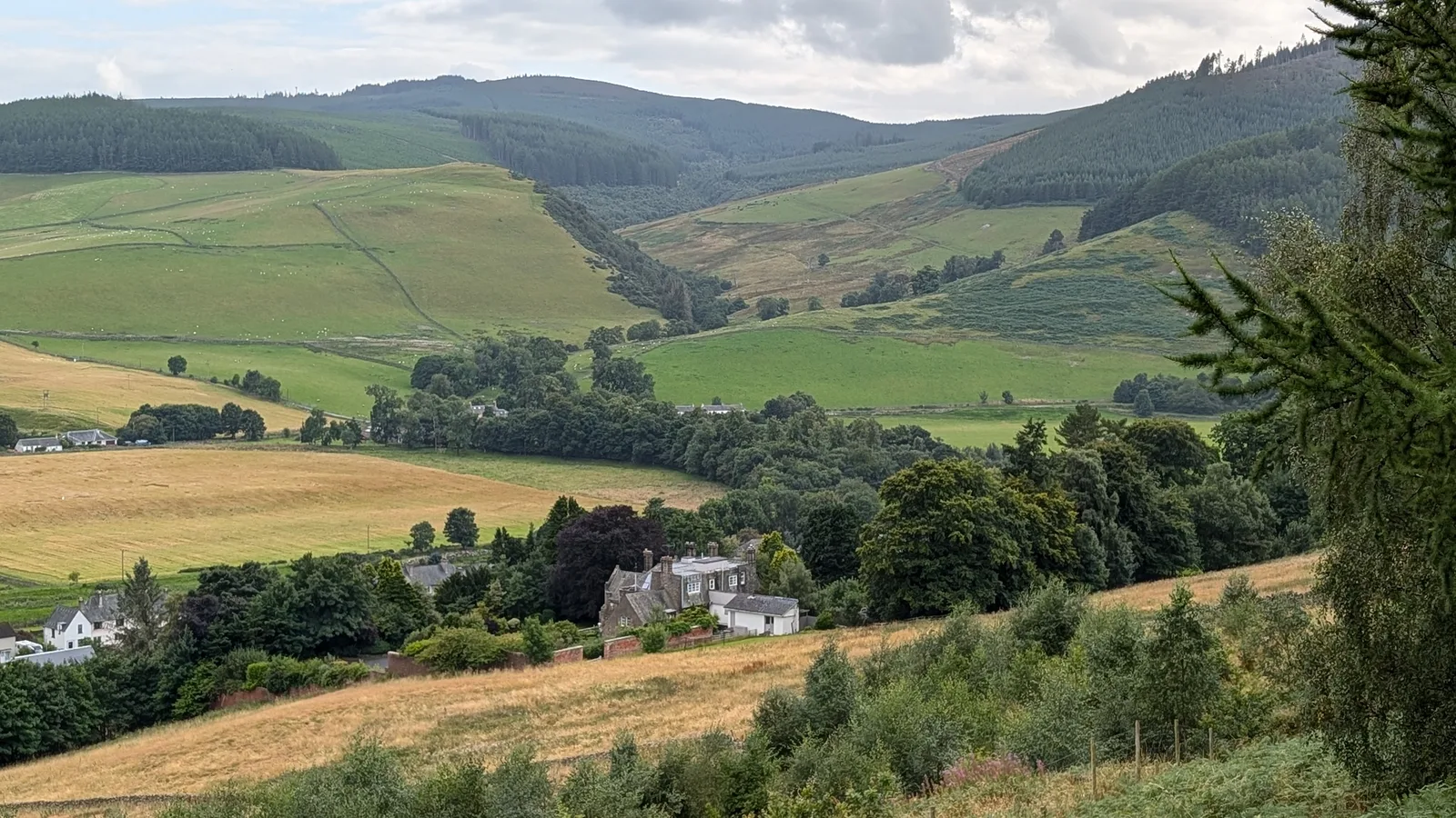 Windlestraw in the Tweed valley near Walkerburn